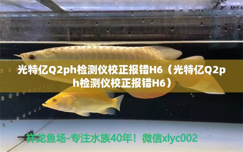 光特亿Q2ph检测仪校正报错H6（光特亿Q2ph检测仪校正报错H6）