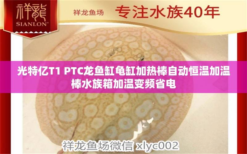 光特亿T1+PTC龙鱼缸龟缸加热棒自动恒温加温棒水族箱加温变频省电