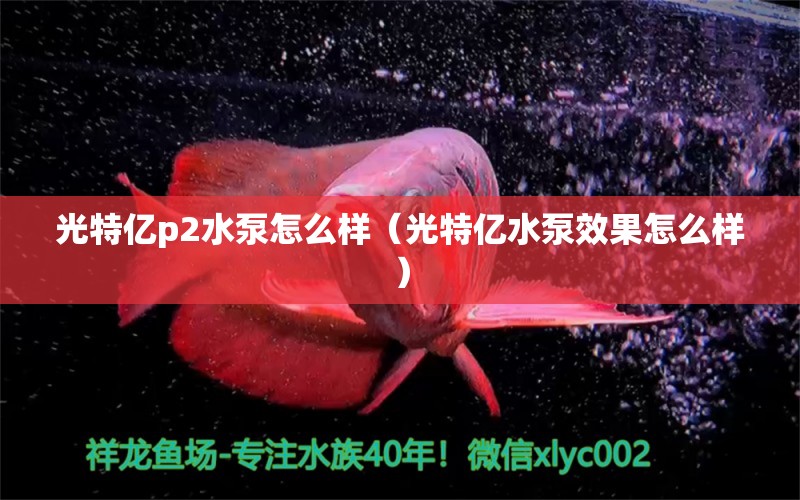 光特亿p2水泵怎么样（光特亿水泵效果怎么样） 光特亿