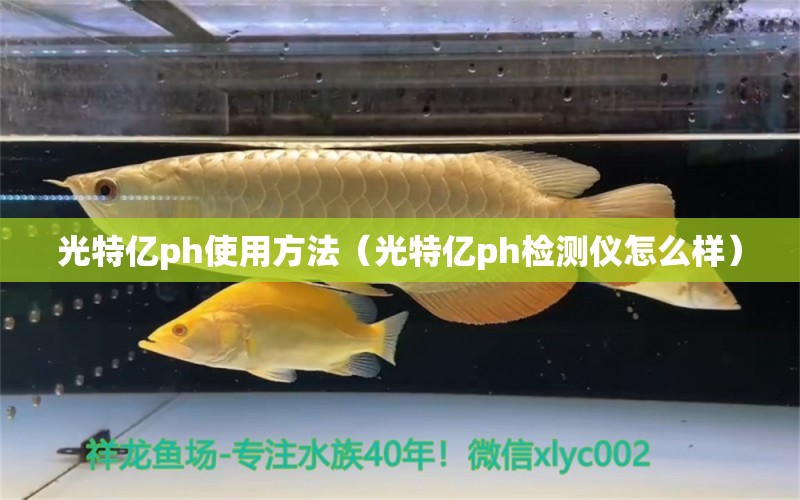 光特亿ph使用方法（光特亿ph检测仪怎么样） 光特亿