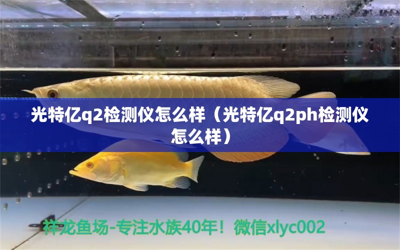 光特亿q2检测仪怎么样（光特亿q2ph检测仪怎么样）