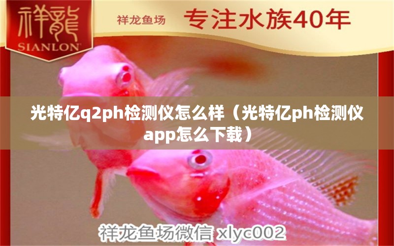 光特亿q2ph检测仪怎么样（光特亿ph检测仪app怎么下载）