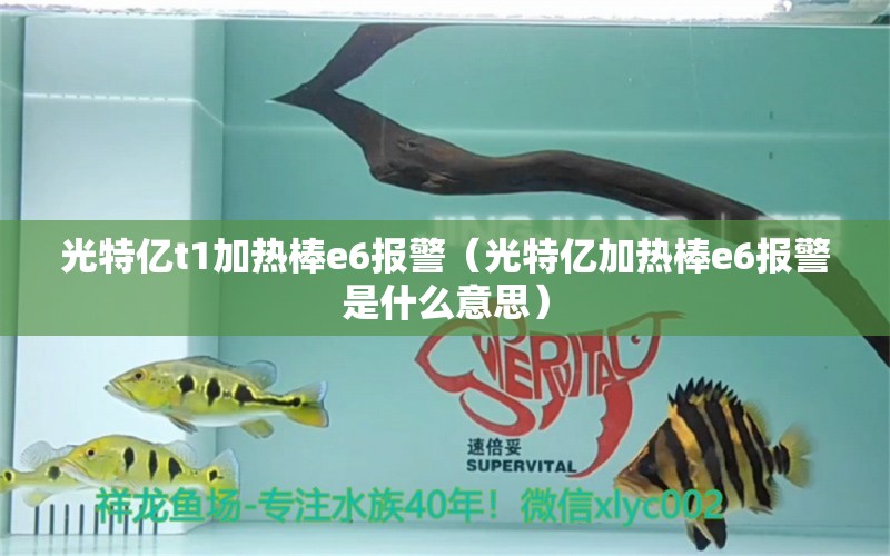 光特亿t1加热棒e6报警（光特亿加热棒e6报警是什么意思）