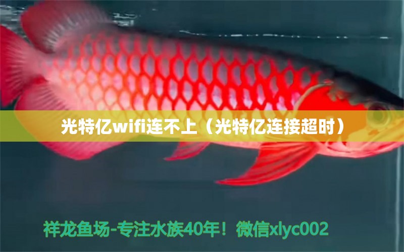 光特亿wifi连不上（光特亿连接超时）