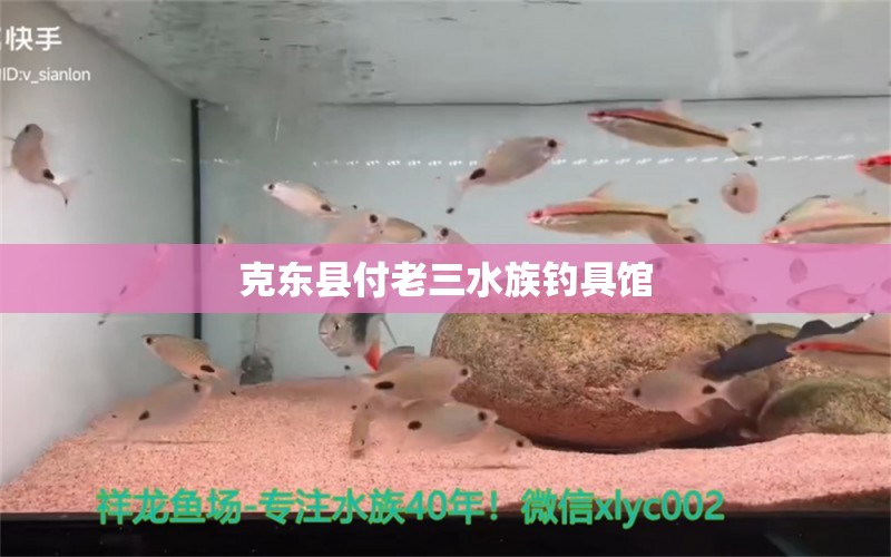 克东县付老三水族钓具馆