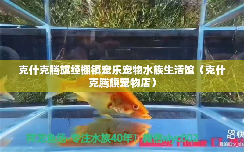 克什克腾旗经棚镇宠乐宠物水族生活馆（克什克腾旗宠物店）