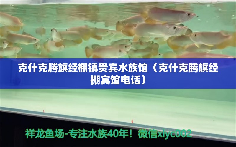 克什克腾旗经棚镇贵宾水族馆（克什克腾旗经棚宾馆电话） 全国水族馆企业名录