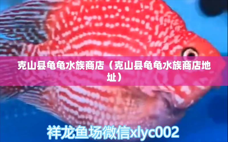 克山县龟龟水族商店（克山县龟龟水族商店地址）