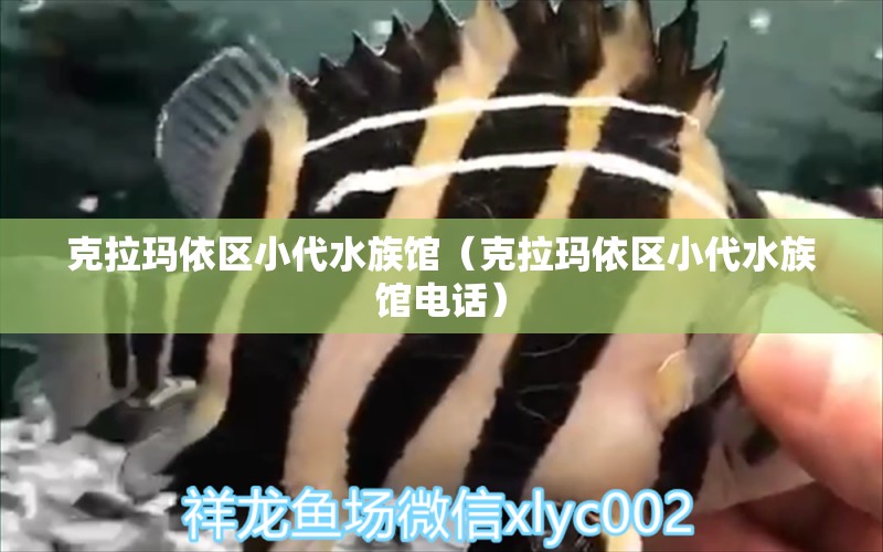 克拉玛依区小代水族馆（克拉玛依区小代水族馆电话）