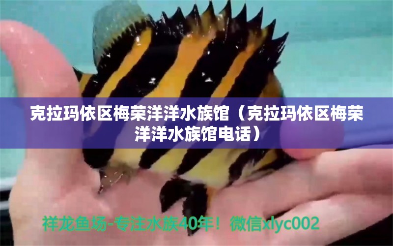 克拉玛依区梅荣洋洋水族馆（克拉玛依区梅荣洋洋水族馆电话） 全国水族馆企业名录