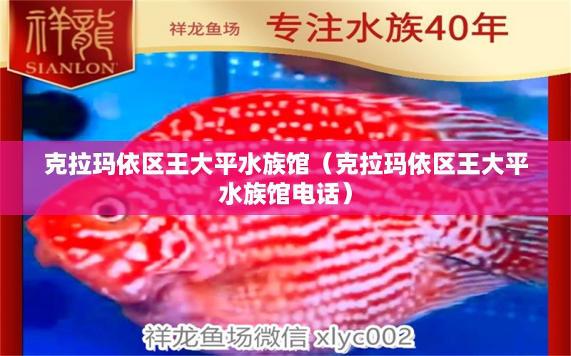 克拉玛依区王大平水族馆（克拉玛依区王大平水族馆电话） 全国水族馆企业名录