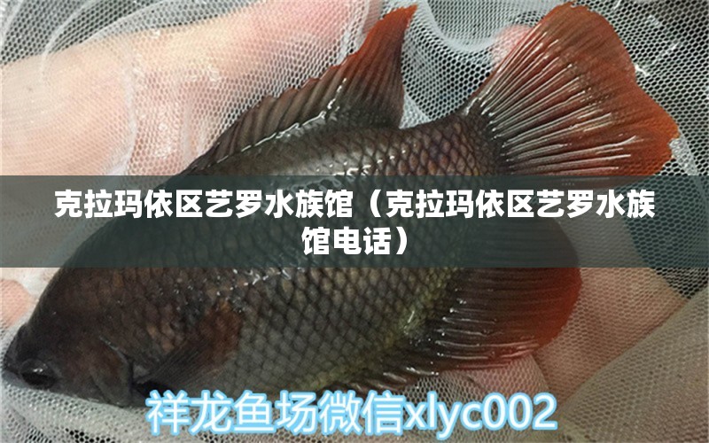 克拉玛依区艺罗水族馆（克拉玛依区艺罗水族馆电话） 全国水族馆企业名录