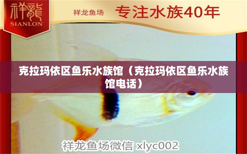 克拉玛依区鱼乐水族馆（克拉玛依区鱼乐水族馆电话） 全国水族馆企业名录