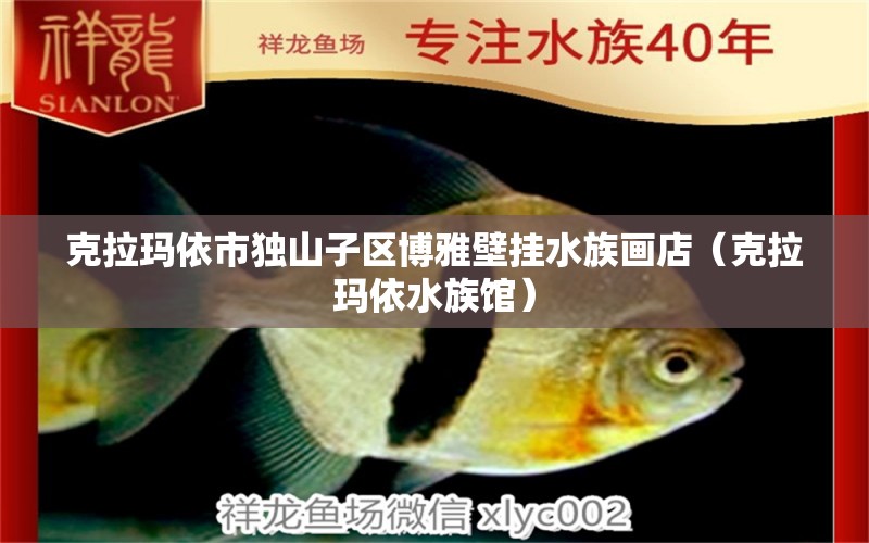 克拉玛依市独山子区博雅壁挂水族画店（克拉玛依水族馆）