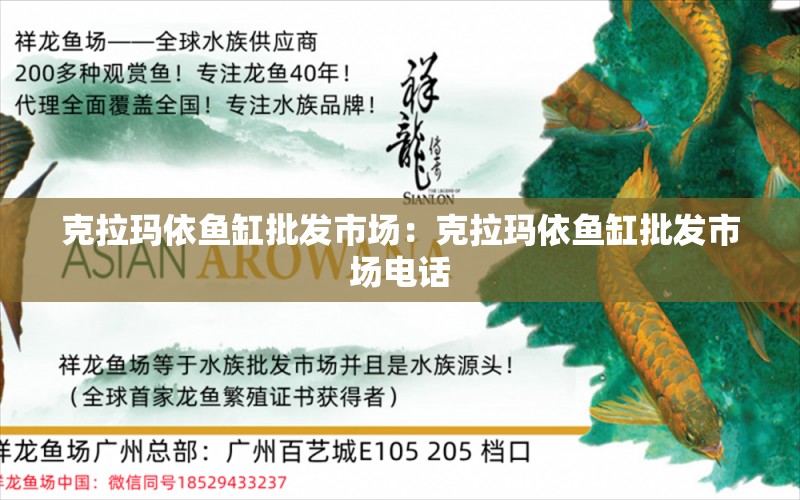 克拉玛依鱼缸批发市场：克拉玛依鱼缸批发市场电话 广州水族批发市场