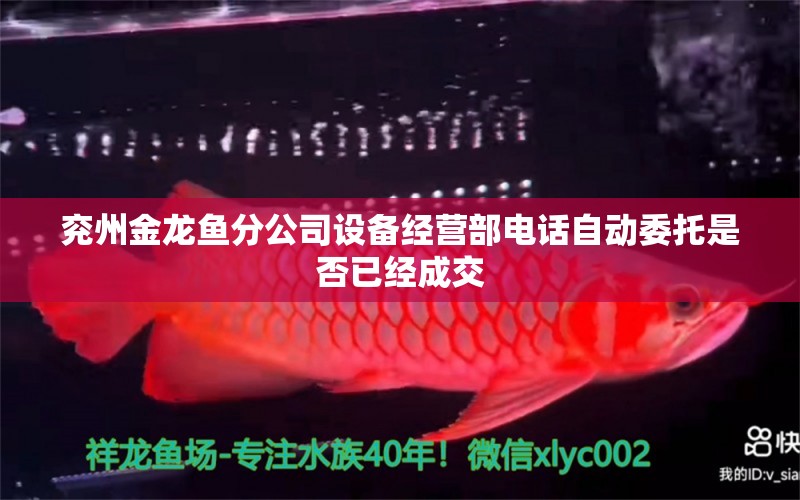 兖州金龙鱼分公司设备经营部电话自动委托是否已经成交 广州水族批发市场