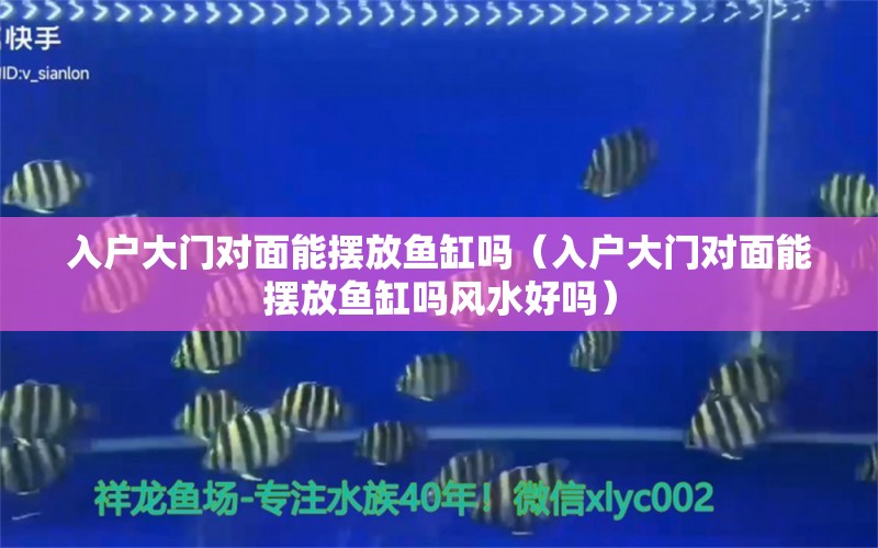 入户大门对面能摆放鱼缸吗（入户大门对面能摆放鱼缸吗风水好吗） 鱼缸风水