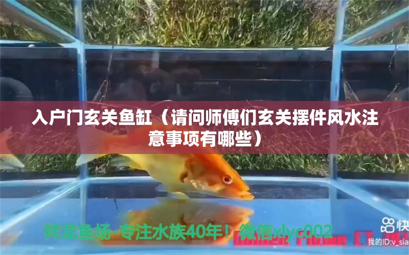 入户门玄关鱼缸（请问师傅们玄关摆件风水注意事项有哪些）