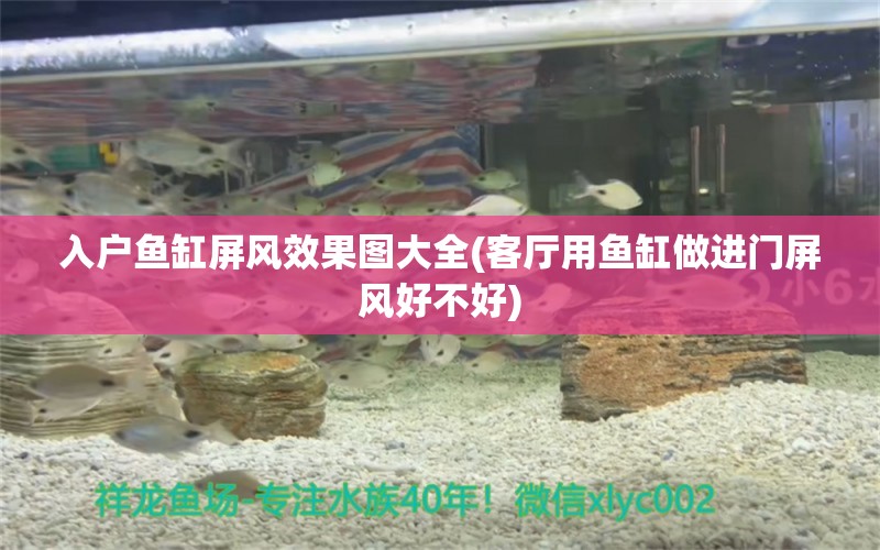 入户鱼缸屏风效果图大全(客厅用鱼缸做进门屏风好不好) 水族品牌 第1张