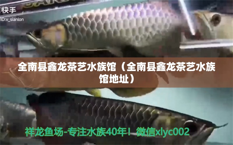 全南县鑫龙茶艺水族馆（全南县鑫龙茶艺水族馆地址）