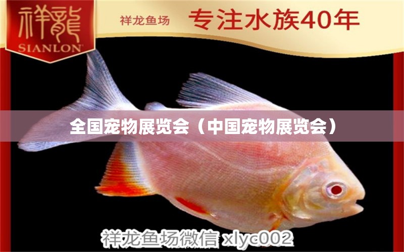 全国宠物展览会（中国宠物展览会） 广州水族批发市场