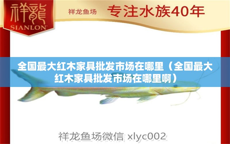 全国最大红木家具批发市场在哪里（全国最大红木家具批发市场在哪里啊） 文玩