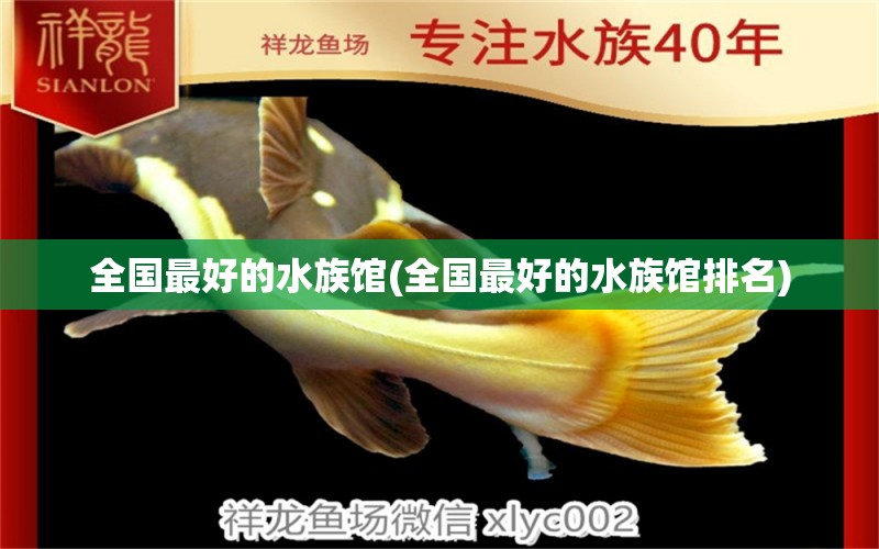 全国最好的水族馆(全国最好的水族馆排名) 2024第28届中国国际宠物水族展览会CIPS（长城宠物展2024 CIPS） 第1张