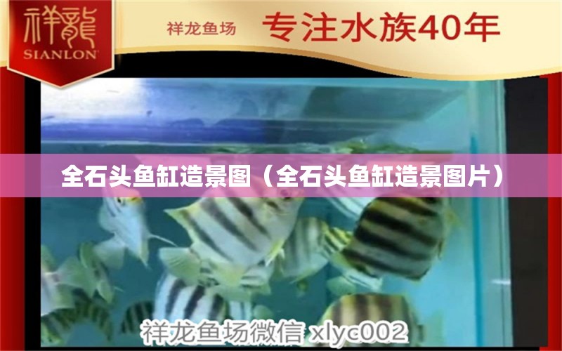 全石头鱼缸造景图（全石头鱼缸造景图片） 祥龙水族医院