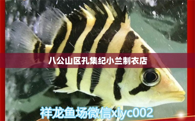 八公山区孔集纪小兰制衣店 全国水族馆企业名录