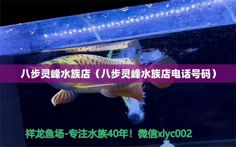 八步灵峰水族店（八步灵峰水族店电话号码） 全国水族馆企业名录