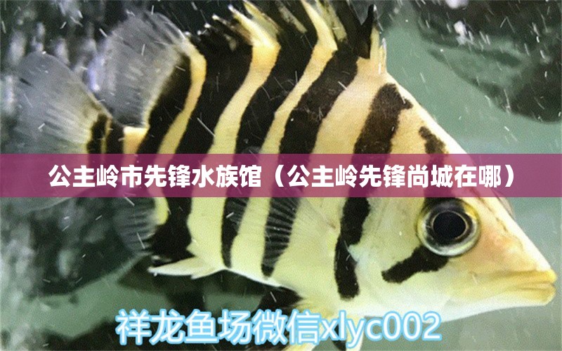 公主岭市先锋水族馆（公主岭先锋尚城在哪）