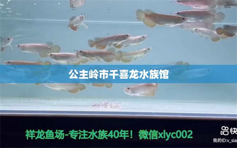 公主岭市千喜龙水族馆 全国水族馆企业名录