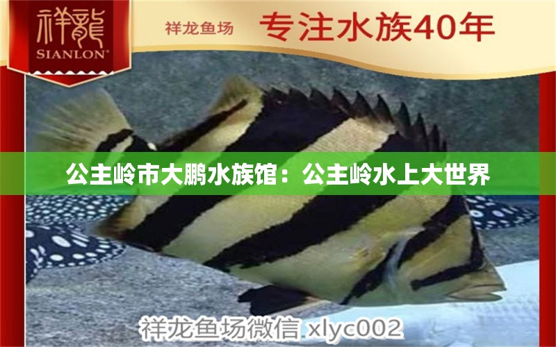 公主岭市大鹏水族馆：公主岭水上大世界