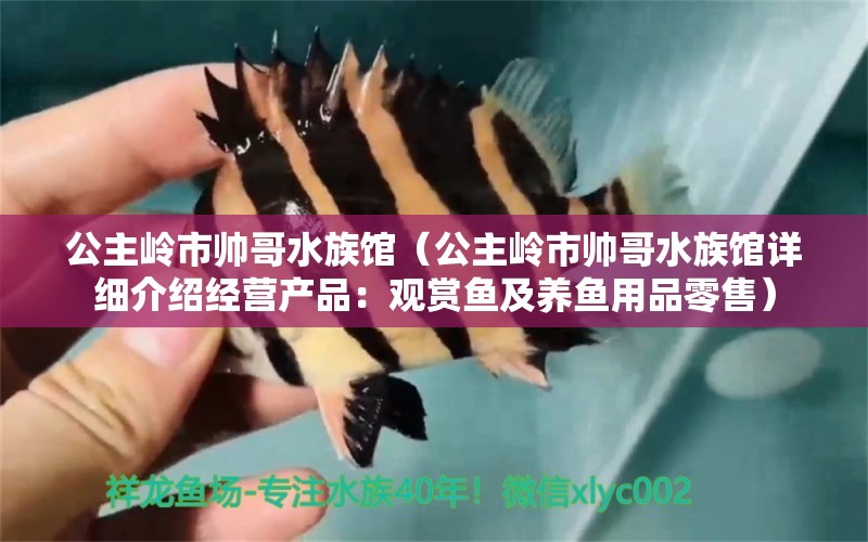 公主岭市帅哥水族馆（公主岭市帅哥水族馆详细介绍经营产品：观赏鱼及养鱼用品零售） 全国观赏鱼市场 第2张