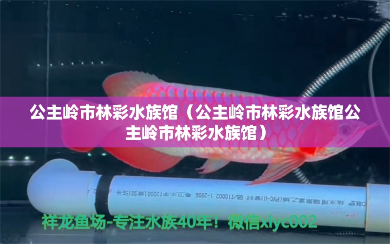 公主岭市林彩水族馆（公主岭市林彩水族馆公主岭市林彩水族馆） 全国观赏鱼市场 第2张