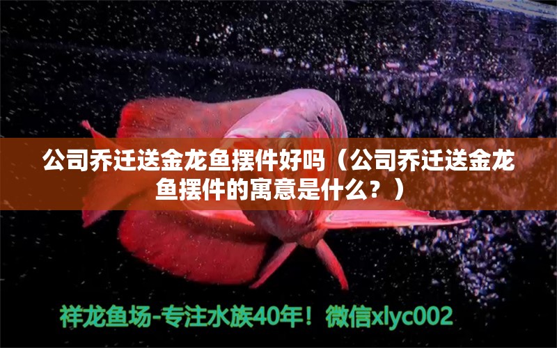 公司乔迁送金龙鱼摆件好吗（公司乔迁送金龙鱼摆件的寓意是什么？）