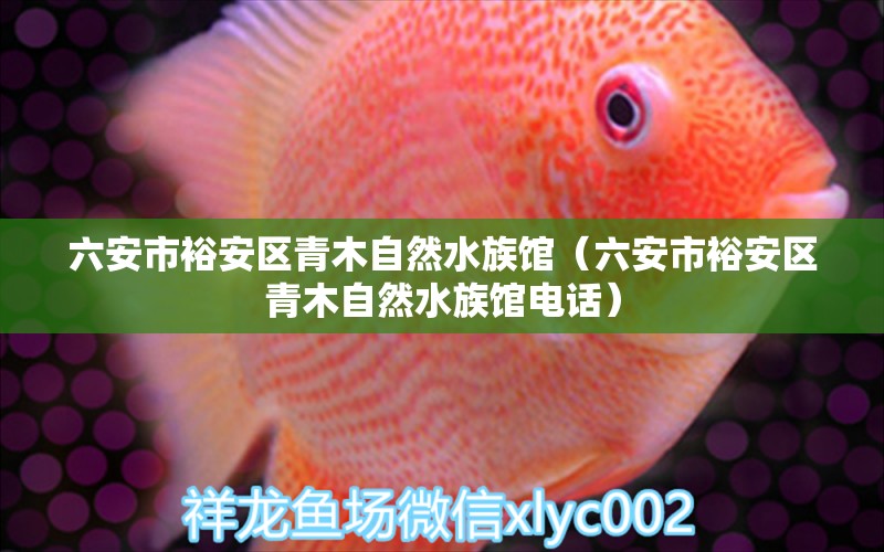 六安市裕安区青木自然水族馆（六安市裕安区青木自然水族馆电话）