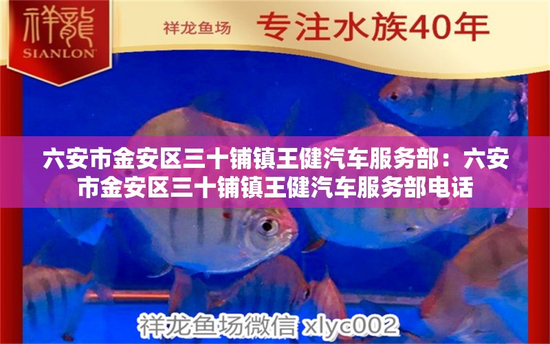 六安市金安区三十铺镇王健汽车服务部：六安市金安区三十铺镇王健汽车服务部电话 全国水族馆企业名录