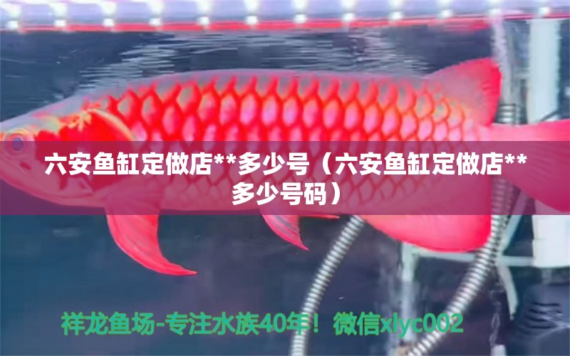 六安鱼缸定做店**多少号（六安鱼缸定做店**多少号码） 祥龙水族医院