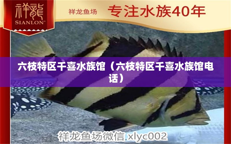 六枝特区千喜水族馆（六枝特区千喜水族馆电话） 全国水族馆企业名录