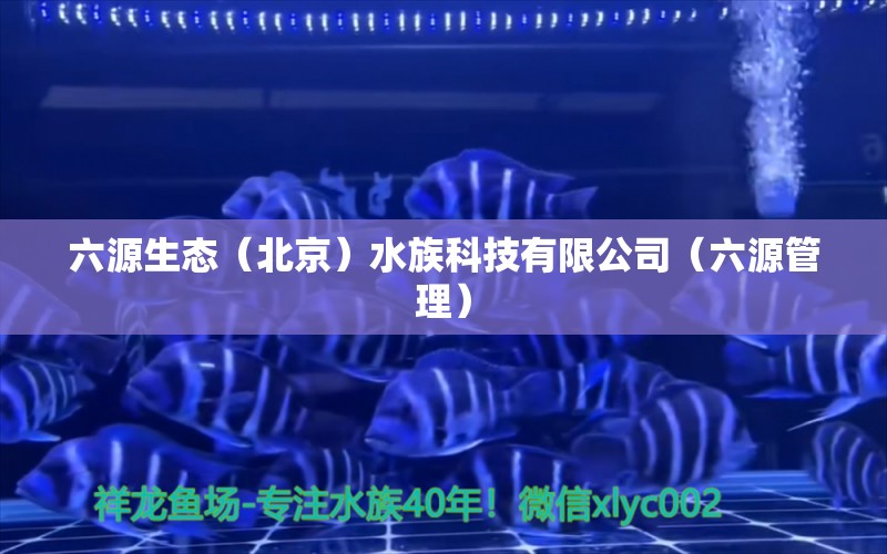 六源生态（北京）水族科技有限公司（六源管理）