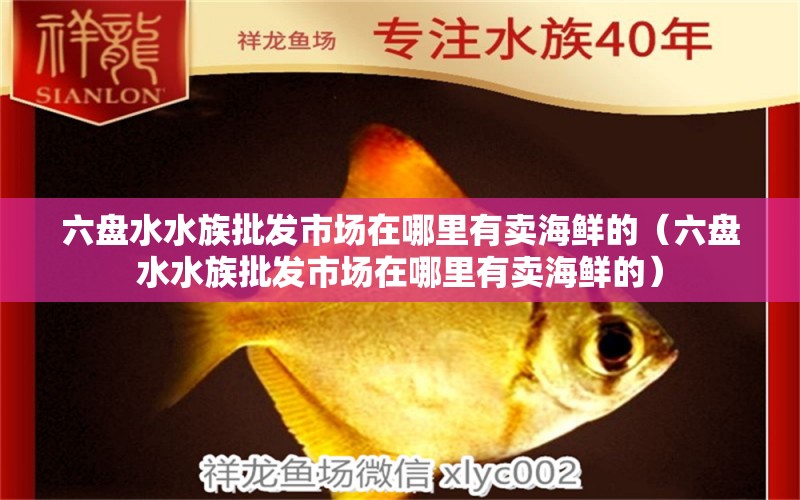 六盘水水族批发市场在哪里有卖海鲜的（六盘水水族批发市场在哪里有卖海鲜的）