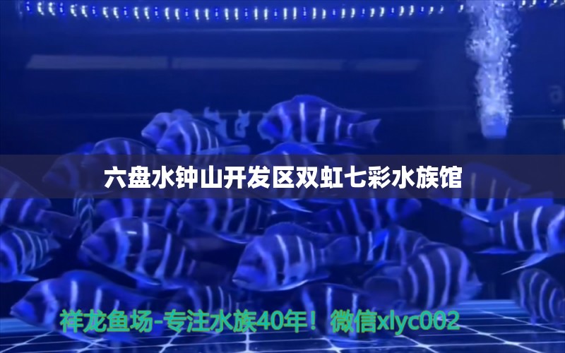 六盘水钟山开发区双虹七彩水族馆 全国水族馆企业名录