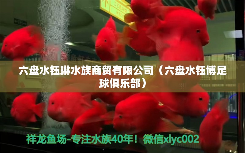 六盘水钰琳水族商贸有限公司（六盘水钰博足球俱乐部） 全国水族馆企业名录