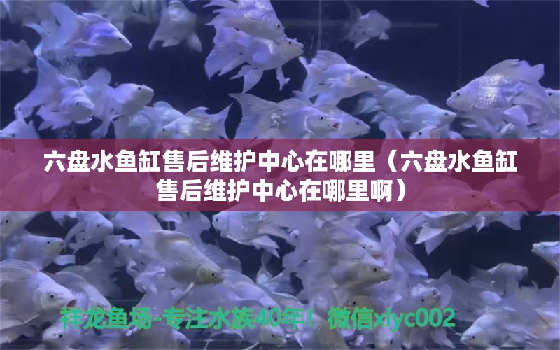 六盘水鱼缸售后维护中心在哪里（六盘水鱼缸售后维护中心在哪里啊）