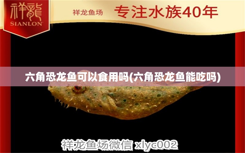 六角恐龙鱼可以食用吗(六角恐龙鱼能吃吗)