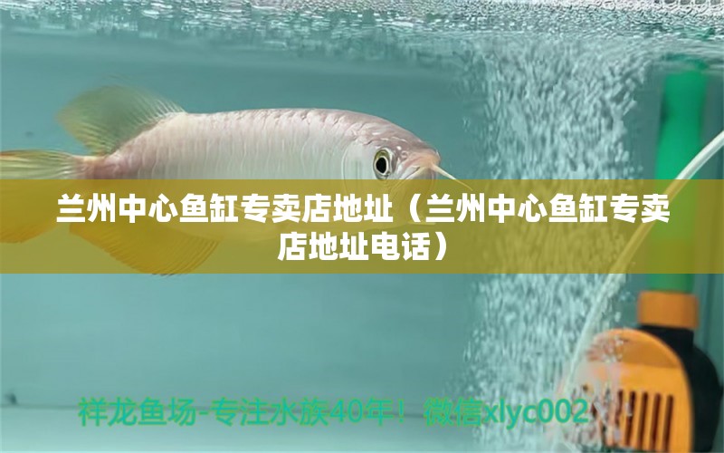 兰州中心鱼缸专卖店地址（兰州中心鱼缸专卖店地址电话） 祥龙水族医院