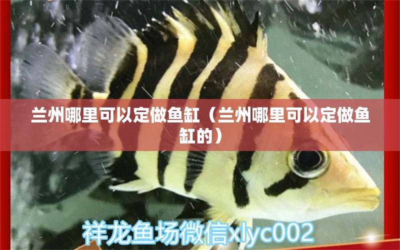 兰州哪里可以定做鱼缸（兰州哪里可以定做鱼缸的）