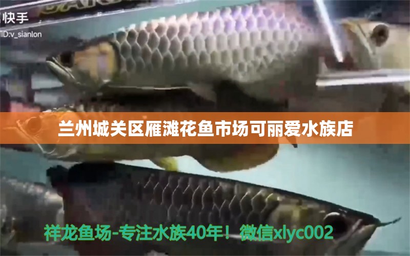 兰州城关区雁滩花鱼市场可丽爱水族店 全国水族馆企业名录 第2张