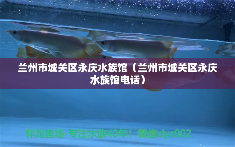 兰州市城关区永庆水族馆（兰州市城关区永庆水族馆电话）